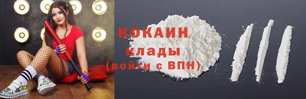 тгк Алзамай