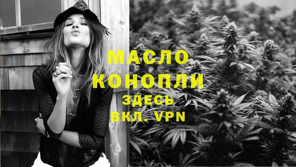 тгк Алзамай