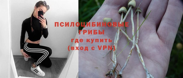 ешки Алексеевка