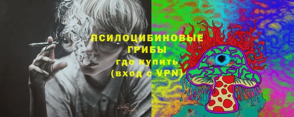 mix Алексин