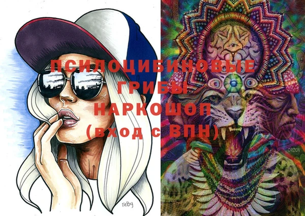 тгк Алзамай
