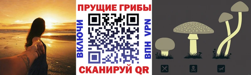 Галлюциногенные грибы ЛСД  купить закладку  Катав-Ивановск 